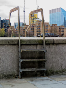 8 Steps to Optimize Your Reddybook Signup for Maximum Cricket Community Reach