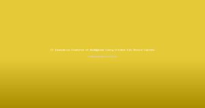 12 Innovative Features of Reddybook Every Cricket Fan Should Explore