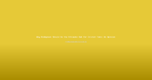 Why Reddybook Should Be the Ultimate Hub for Cricket Fans: An Opinion