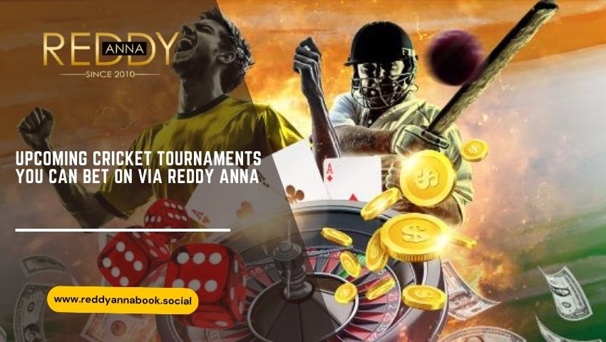 Bet on Cricket via reddy anna book, reddy anna book cricket id, reddy anna book cricket login, reddy anna book cricket register
