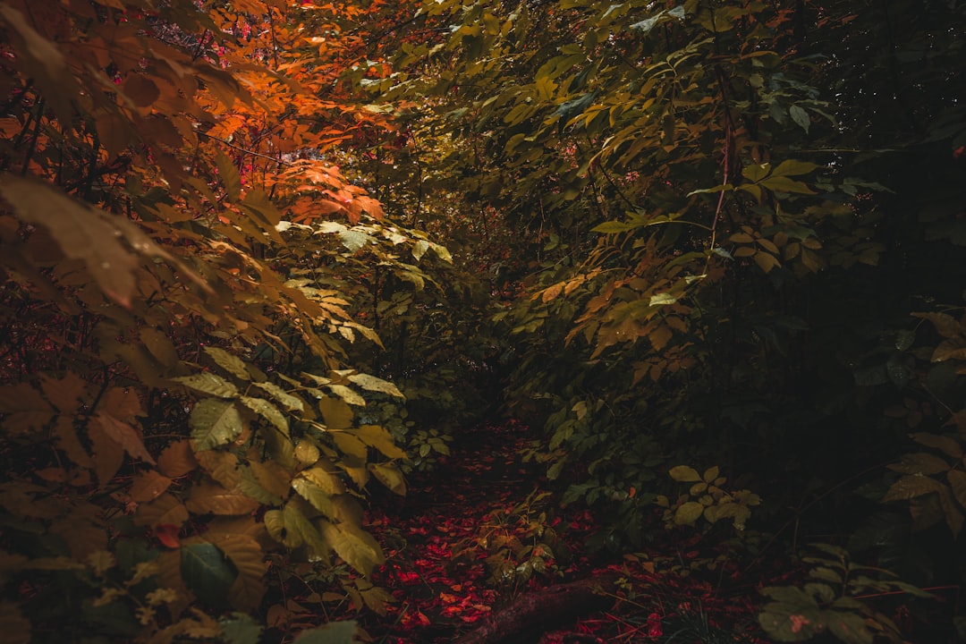 Featured Legends Their