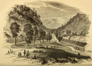 How to Find and Use Your Reddybook ID to Unlock Exclusive Cricket Features