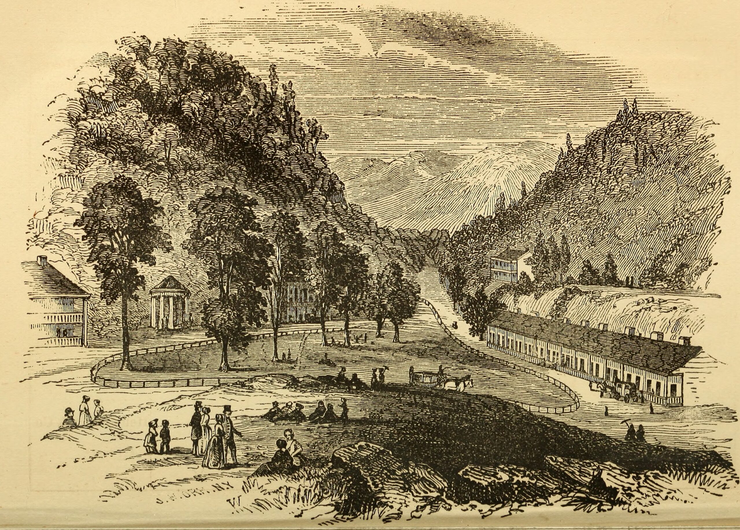 How to Find and Use Your Reddybook ID to Unlock Exclusive Cricket Features