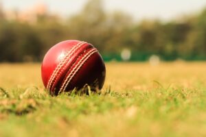 Reddybook Club Round‑up: Upcoming Cricket Meetups, Fan Challenges, and New Loyalty Perks