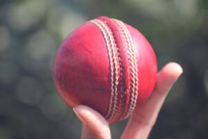 Reddybook ID: 5 Unexpected Perks Every Cricket Fan Should Know