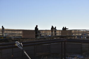 Roundup: The 12 Most Innovative Reddybook Services for Cricket Fans in 2024