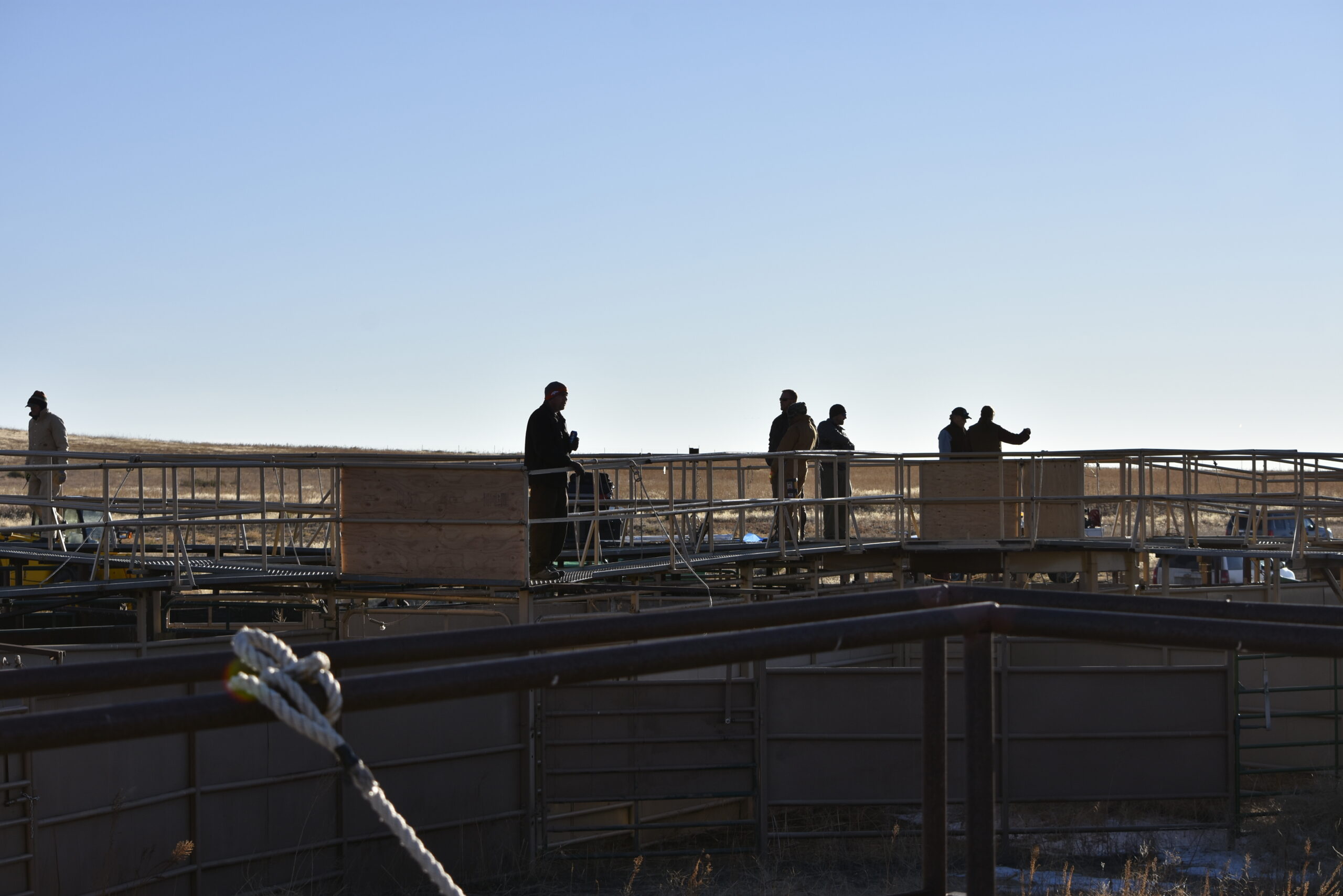 Roundup: The 12 Most Innovative Reddybook Services for Cricket Fans in 2024