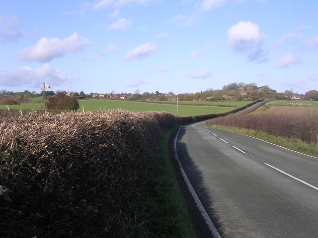 Top 10 Must-Have Tools for Your Reddybook Club to Boost Cricket Fan Engagement