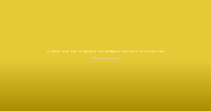 12 Must‑Know Tips to Maximize Your Reddybook Experience for Cricket Fans