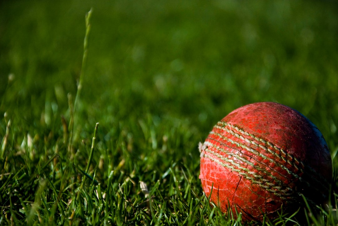 Customizing Cricket Experience