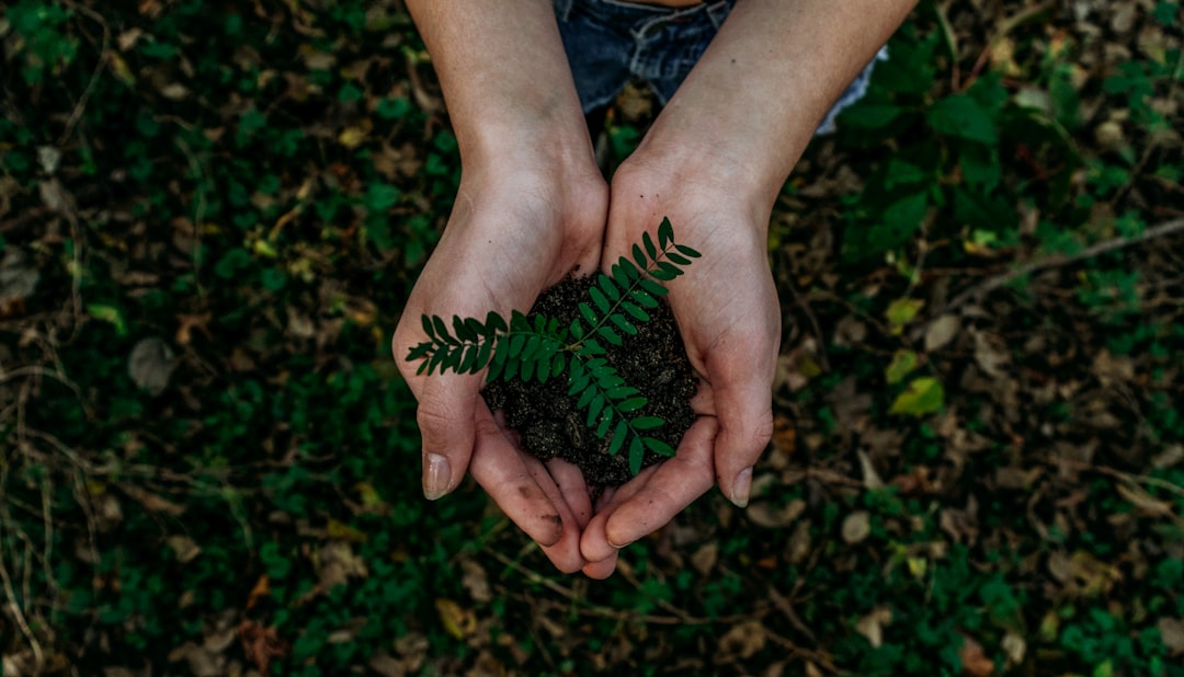 Driving Sustainable Growth