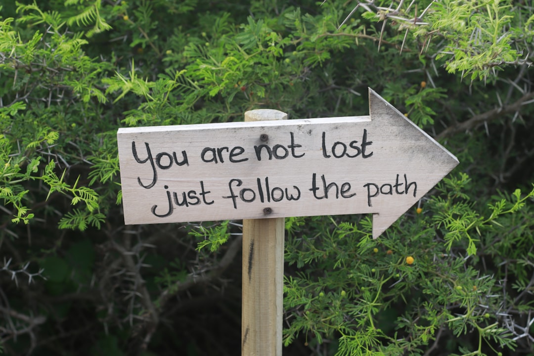 Follow structured path: