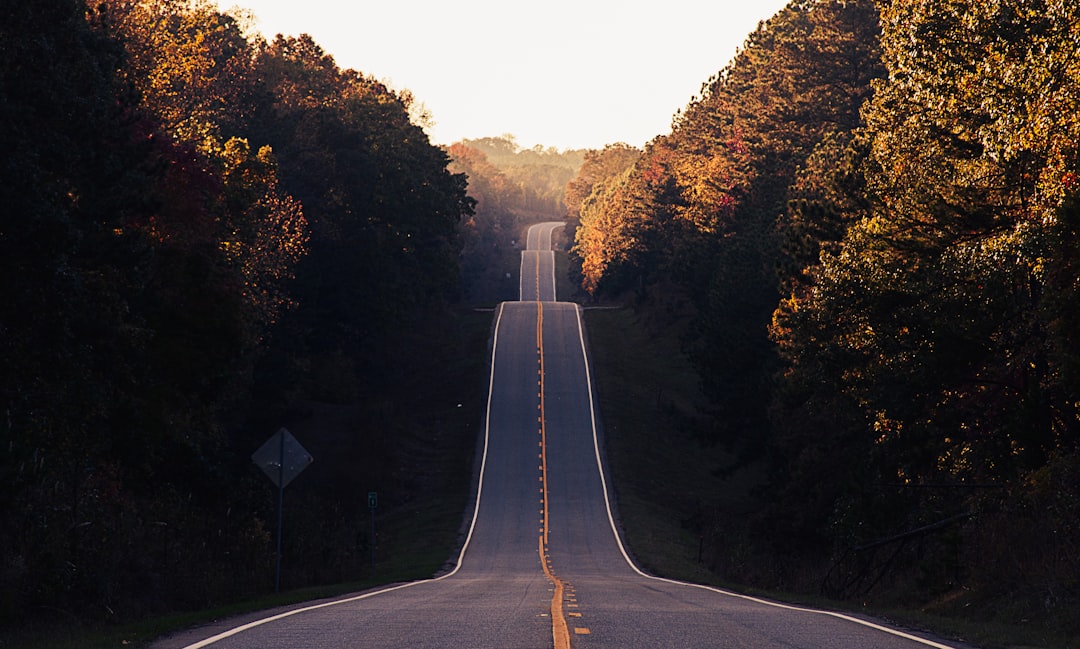 Future Roadmap Expansion