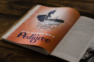 Reddybook ID Roundup: 10 Must-Know Features for the Modern Cricket Fan